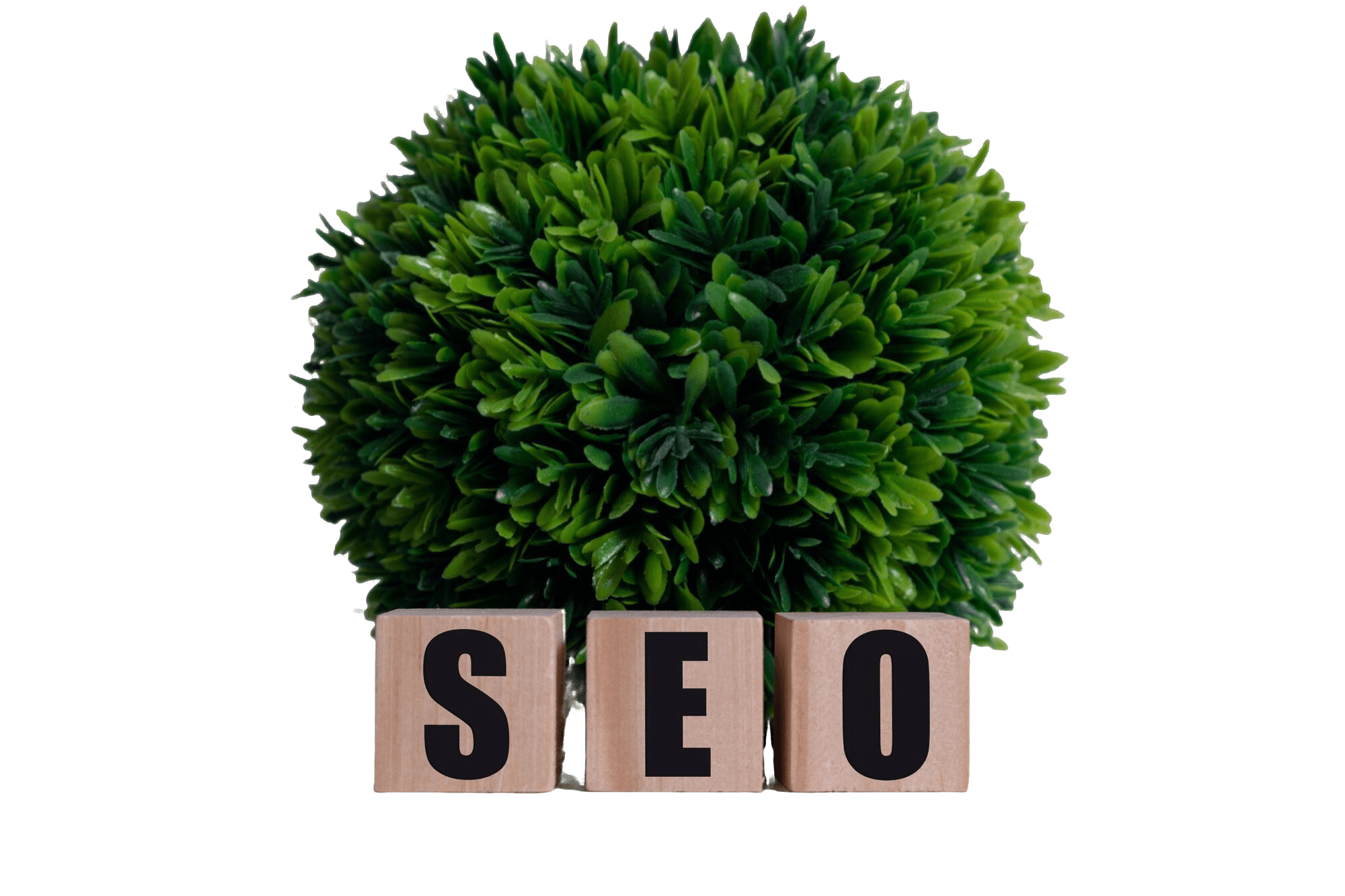 MERN-Stack-Entwickler Banner